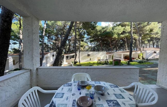 sfinal residence - Photo 45