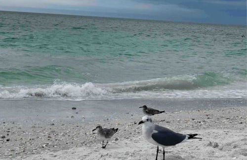 The Wisteria Oasis With heated pool and hot tub - Foto 52