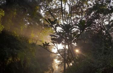 Casa Luna próximo ao Animália Park - Foto 22