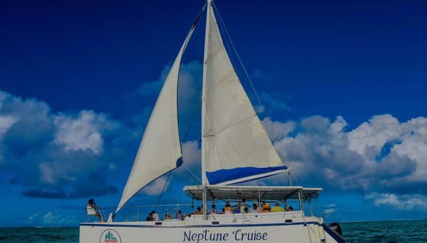 Excursion à l'île aux Cerfs - Photo 2