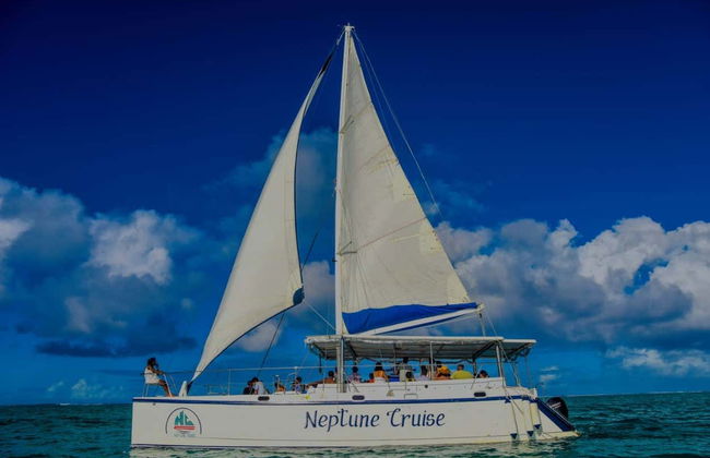 Escursione all'Isola dei Cervi - Foto 2