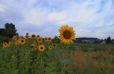 Haus am Rösberg - Foto 20