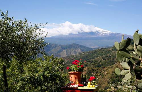 Agriturismo San Cataldo Farm Home - Foto 63