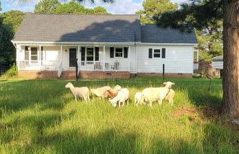 Meadow Farm in Holly Springs, NC - Foto 1