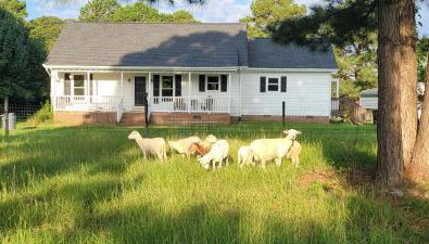 Meadow Farm in Holly Springs, NC - Foto 1