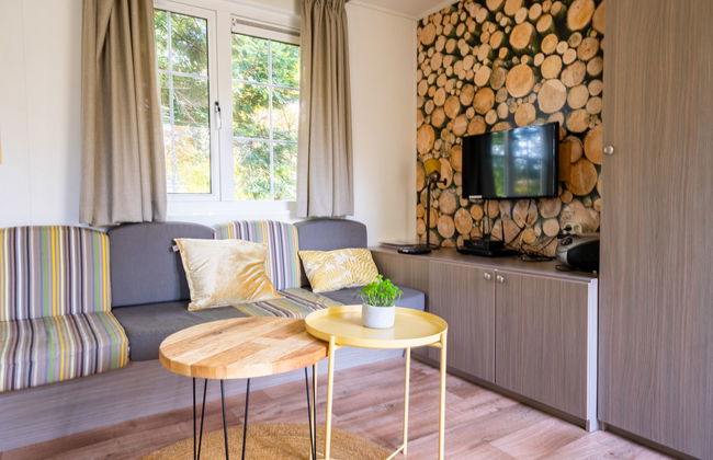 3 bedroom House in Otterlo with swimming pool and terrace - Photo 10