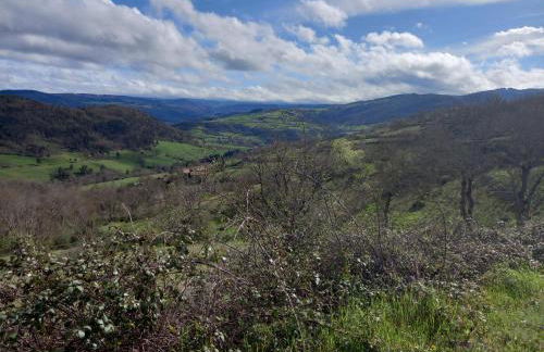 Sur les Rives du Haut Allier - Foto 32