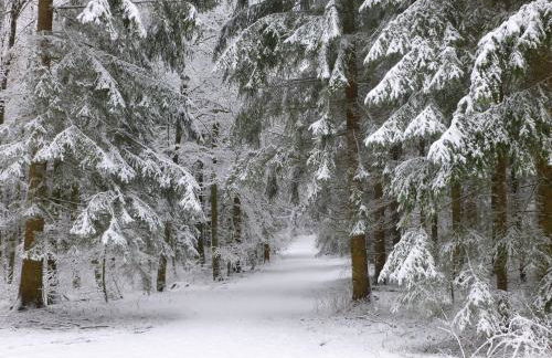 Ferienwohnung Groß - Foto 8
