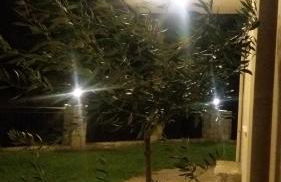 Petrochori ApartHotel - Foto 68