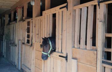 Modern Alpine Monsalbius Chalet - Foto 57