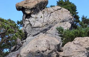 Nikis FeWo an den Dörenther Klippen - Foto 47