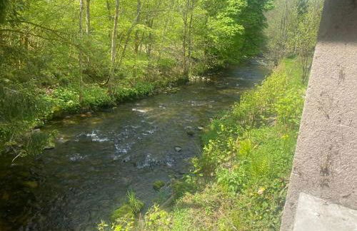 Au Temps Passé - Photo 29