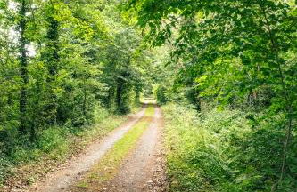 Idyllic Countryside Cottage in Worcestershire - Foto 54