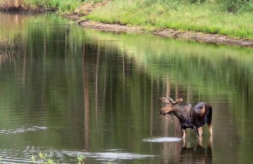 Cozy Mountain Home with Great Views, Deck & WiFi - Photo 1