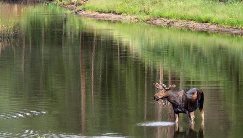 Cozy Mountain Home with Great Views, Deck & WiFi - Foto 1