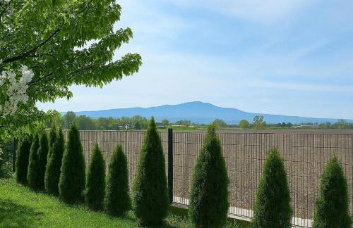 Mc Garry Apartments and Garden - Foto 12