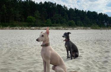 Apartament Biały - Foto 27