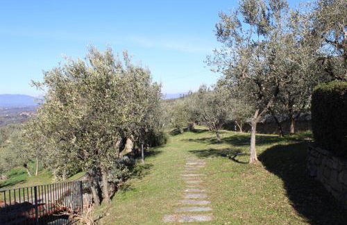 Agriturismo Cafaggio Primo - Foto 40