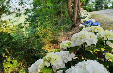 Il Torrione del Trebbia - Foto 49