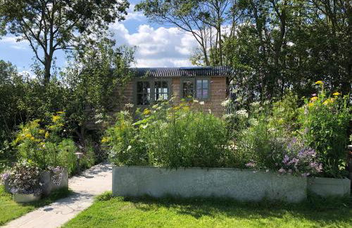 Little Plovers Shepherd Hut - Foto 1