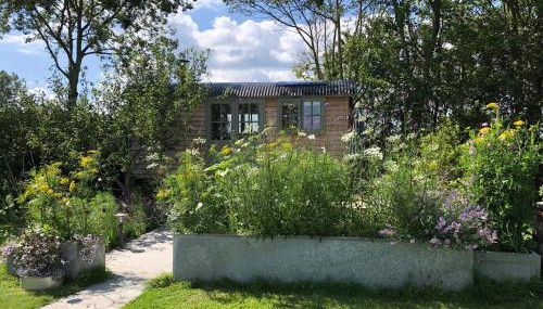 Little Plovers Shepherd Hut - Foto 1, Garden