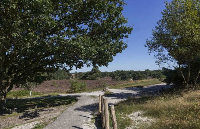 2 bedroom House in Brunssum with terrace - Photo 11