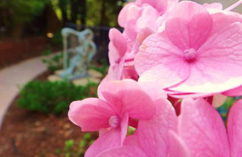 Little Paradise with Sauna Garden near Downtown - Foto 24