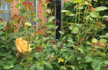 Kapitänshaus mit Hafenblick - Foto 45