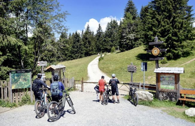 Lovely apt With Garden in South Tyrol - Foto 20