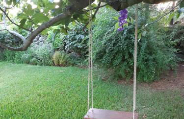 La Celestina - Foto 9