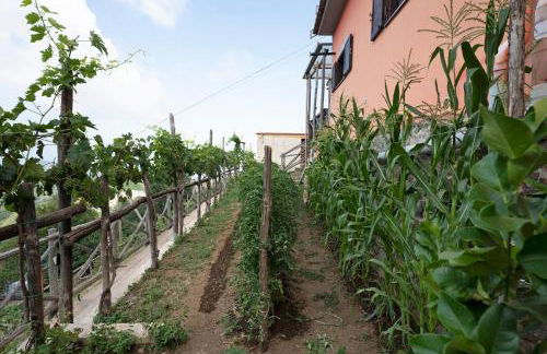 Prima Luce - Foto 22