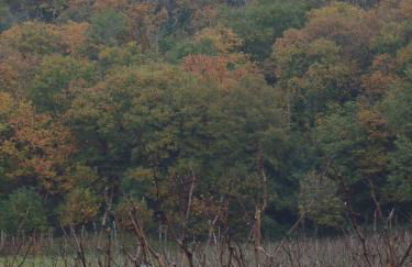 Agriturismo Cascina Rossano - Foto 60