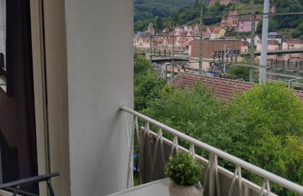 Ferienwohnung Christel Hirschhorn-Neckar - Photo 13