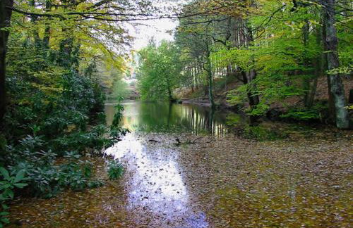 Rock View Cottage, 2 bedrooms near Alton Towers - Foto 19