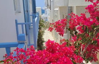 Dinas Inn - Photo 48