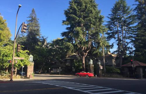 Serene Private Suite Patio Upscale Berkeley - Foto 51