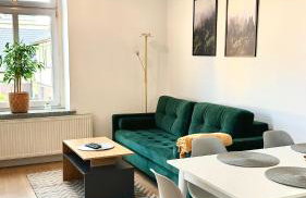 Przytulny i słoneczny apartament nr 1 Góry Sowie, Jezioro, Centrum - Foto 8