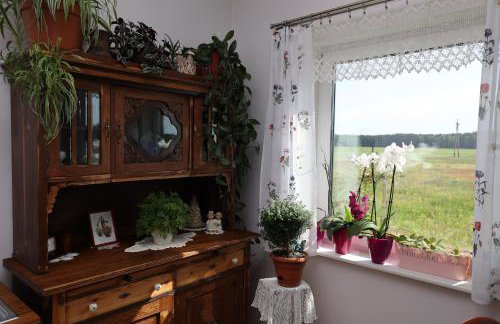 Zielona Przystań - Foto 6