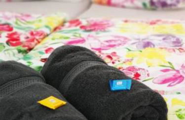 Mellie`s Fewo Willingen - Foto 9