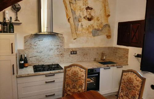 MAISON DE NOSTRADAMUS*** OCCITANIE INSOLITE - Foto 19