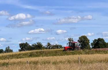 Dom Podróżnika -aktywne wakacje - Foto 43