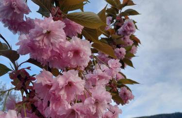 Apartamenty Brenna Klimorówka - Foto 61