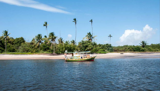 Barra do Cunhau Trip - Foto 5