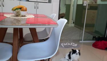 Casa térrea lindamente decorada e climatizada - Foto 2