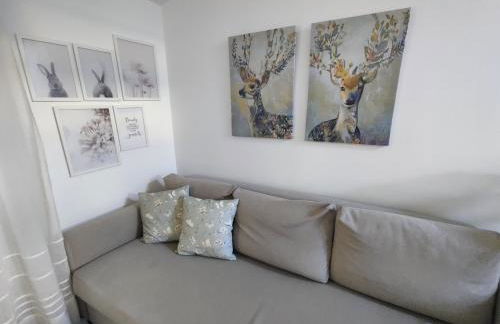 alMirante Burgos Centro Tranquila y con encanto Como en casa - Foto 20