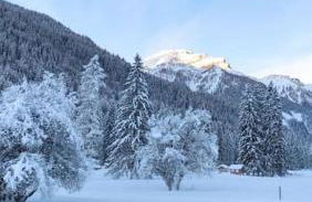 Mansarda dell'orso - Foto 15