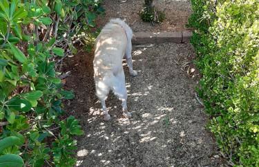 Luna e Mare - Foto 24