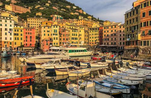 GolfoParadiso Uscio bombon - PellicceriaSuperior - Foto 44