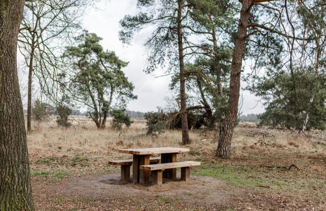 Cottage in Leenderbos Near Nature Reserve - Photo 28