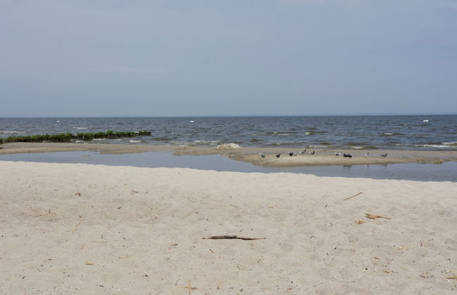 Attractive Holiday Home in Ahlbeck With Terrace - Foto 69